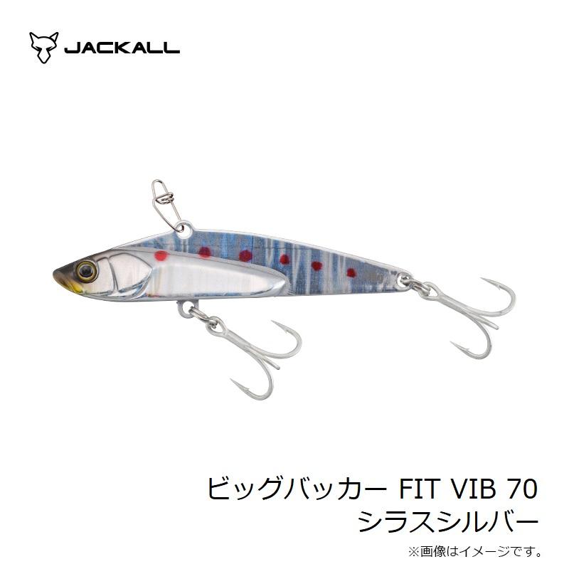 ジャッカル　ルアーセット　ビッグバッカー BIGBACKER WAGSHAD - SALT WATER 海釣り｜JACKALL｜ジャッカル