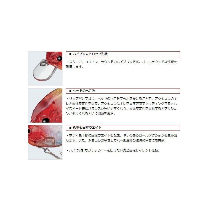 EverGreen エバーグリーン ゼルク プティ #289 クイーンシャッド
