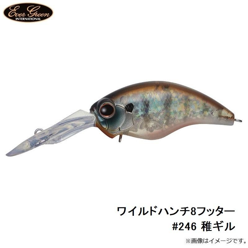 エバーグリーン ワイルドハンチ8フッター 246 稚ギル 釣具のfto ヤフー店 通販 Yahoo ショッピング