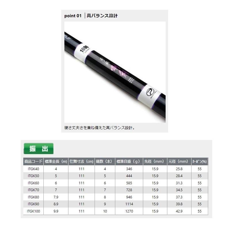 プロックス ITGK100 磯玉ノ柄剛剣 1000 : 釣具のFTO ヤフー店
