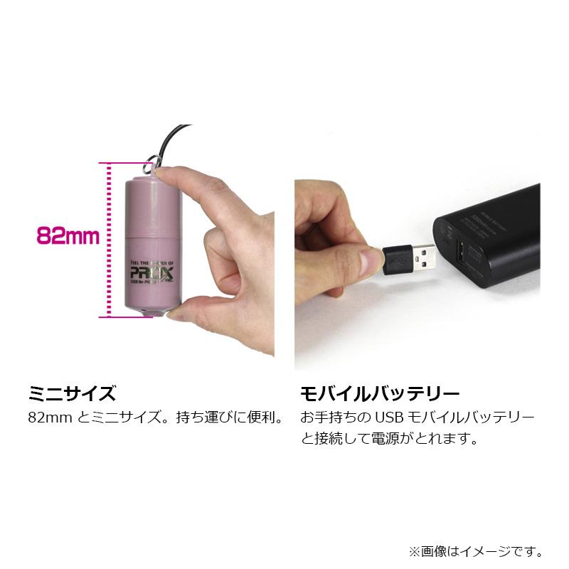 プロックス　PX318RP USBミニブク ローズピンク |  | 02