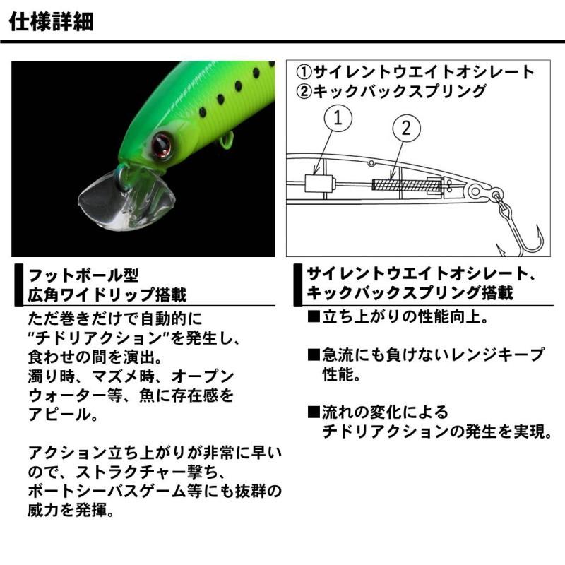DAIWA（ダイワ） ショアラインシャイナーZ セットアッパー スリム 95F
