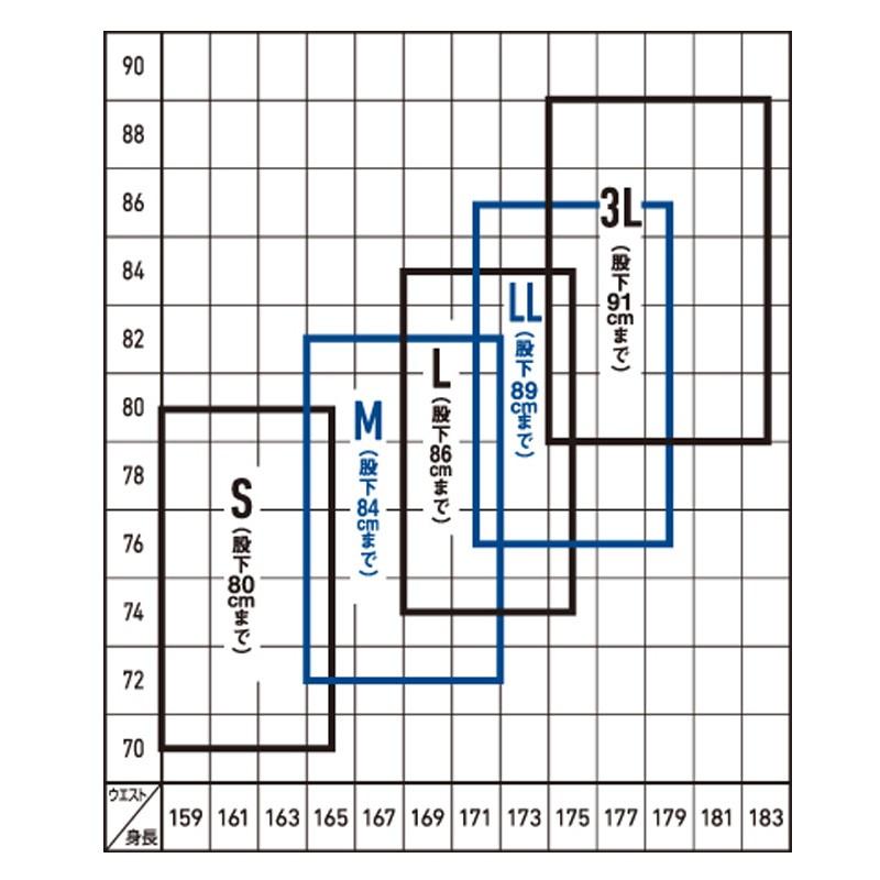 DAIWA（ダイワ） FW-4300R-T タイトフィットフィッシングウェーダー