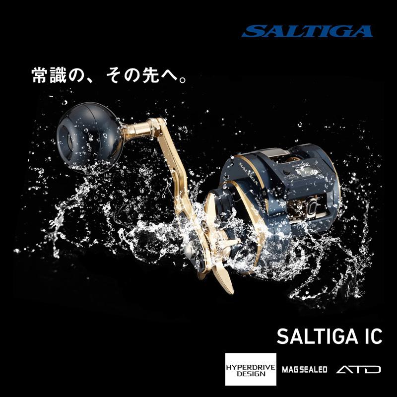 DAIWA（ダイワ） 21ソルティガIC 100PL-DH / ベイトリール カウンター