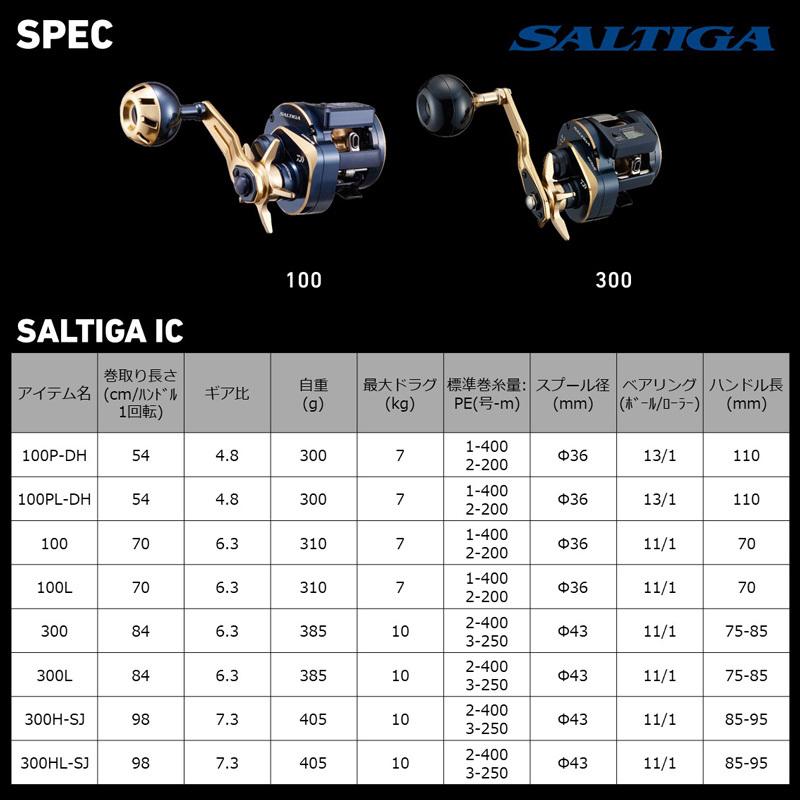 DAIWA（ダイワ） 21ソルティガIC 300L / ベイトリール カウンター付