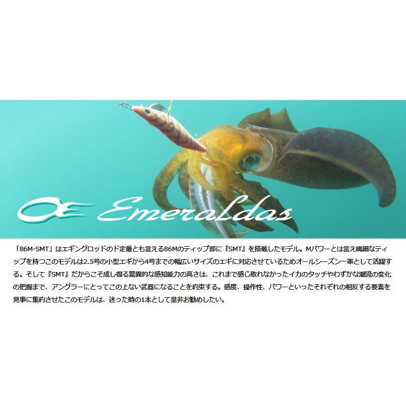 DAIWA(釣り) ダイワ エメラルダス STOIST AGS 86M-SMT DAIWA(釣り) ダイワ エメラルダス STOIST AGS 86M-SMT