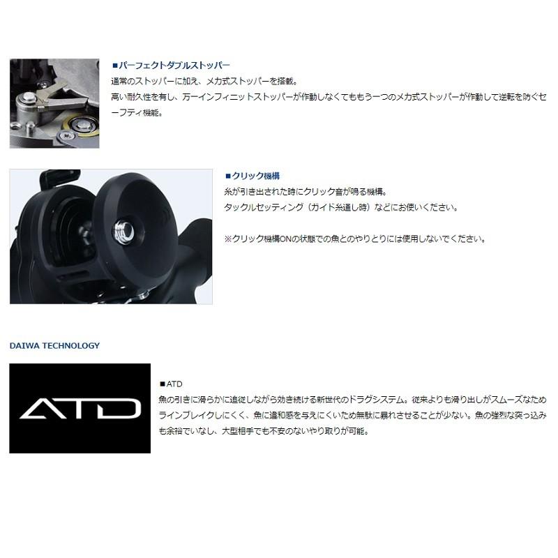 DAIWA(釣り) ダイワ 19 キャタリナ 15H-SJ / ジギング ベイト DAIWA(釣り) ダイワ 19 キャタリナ 15H-SJ / ジギング ベイト