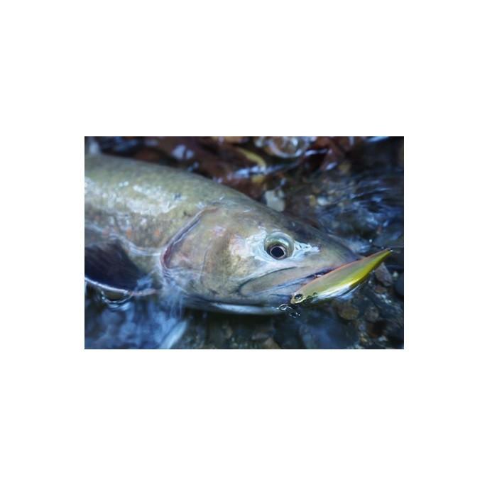 DAIWA（釣り） ダイワ シルバークリークミノー 44S CH紅桜鱒 / ルアー