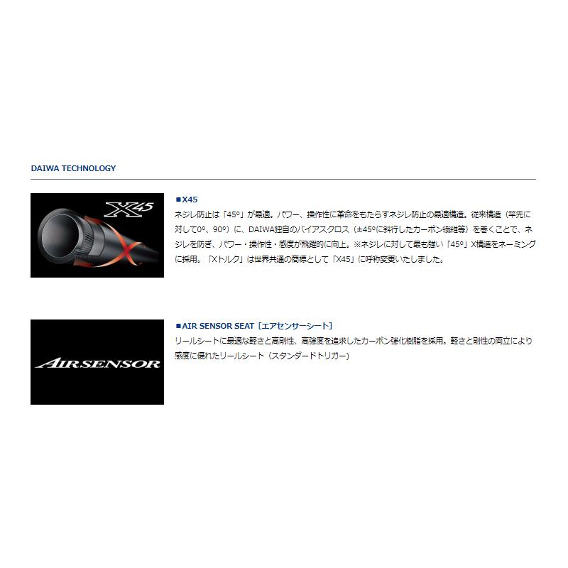 DAIWA（ダイワ） アナリスタータチウオ テンヤ 91-180・R / 太刀魚