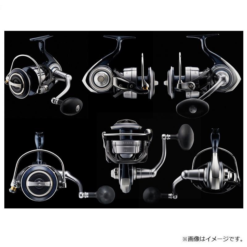 DAIWA（釣り） ダイワ 21セルテート SW 10000-H / スピニング