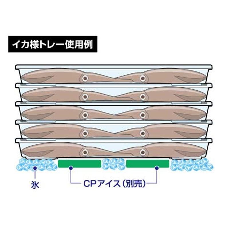 ダイワ　イカ様トレー S 3枚セット / イカ釣り 保冷 鮮度を保つ クーラー取付｜yfto2｜03