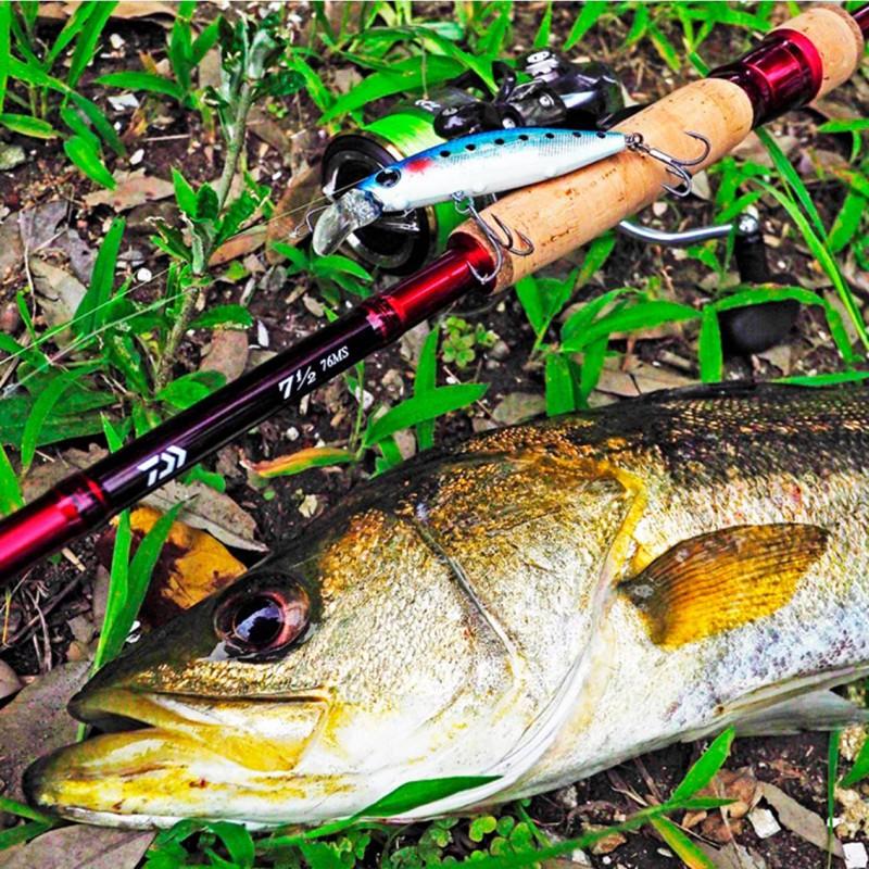 ダイワ DAIWA 7 1/2 セブンハーフ 76LS、カルディアセット