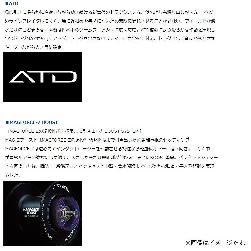 DAIWA（釣り） ダイワ 21スティーズ A TW HLC 7.1R / ベイト