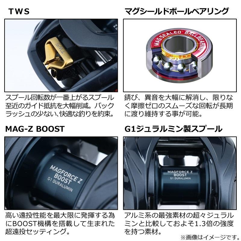DAIWA（釣り） ダイワ スティーズ A TW HLC 8.1L / ベイトリール