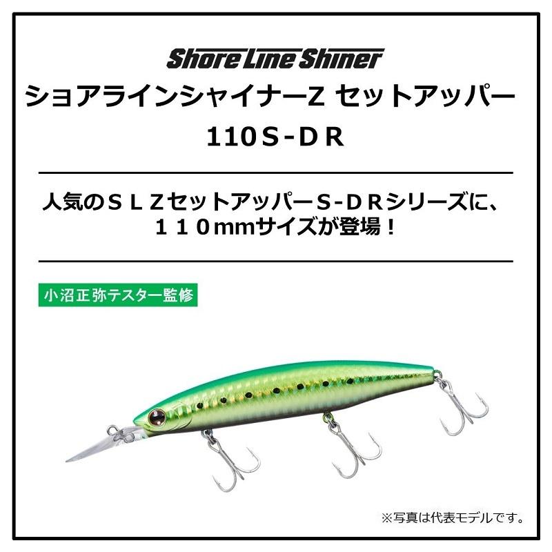 DAIWA（ダイワ） ショアラインシャイナーZセットアッパー 110SDR