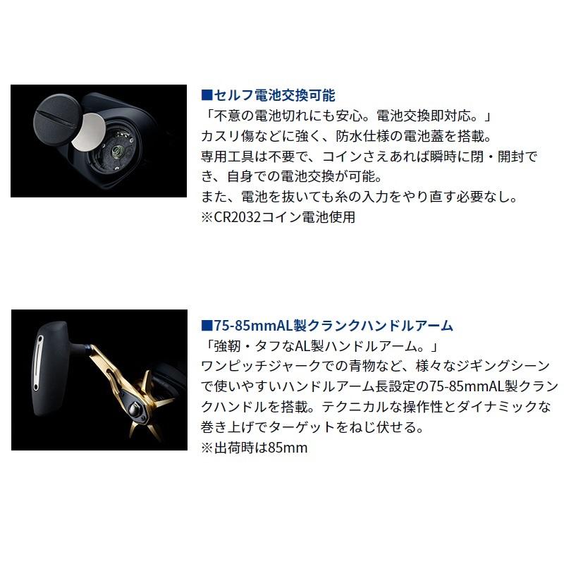 DAIWA(釣り) ダイワ ティエラLJ IC 300H / ライトジギング DAIWA(釣り) ダイワ ティエラLJ IC 300H / ライトジギング