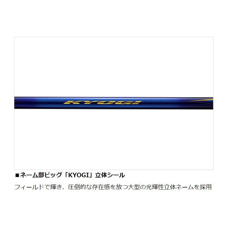 DAIWA（ダイワ） 銀影競技 TYPE S H85・W【大型2】 : 釣具のFTO ヤフー