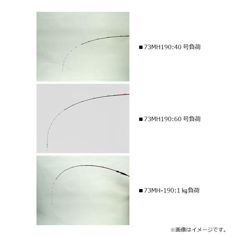 DAIWA（ダイワ） アナリスターライトゲーム 73 MH-190・K / 船 竿 先