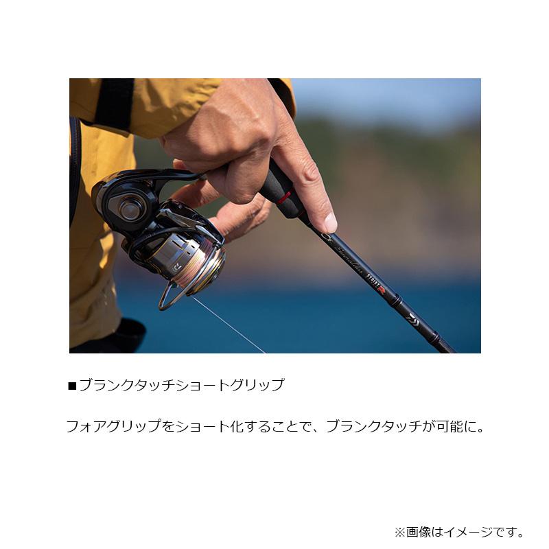 DAIWA(釣り) ダイワ エメラルダス ストイスト RT IL 84MLM DAIWA(釣り) ダイワ エメラルダス ストイスト RT IL 84MLM