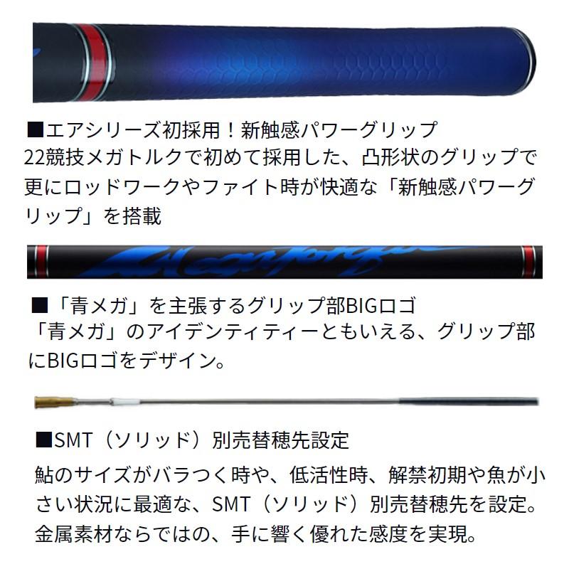DAIWA（釣り） ダイワ 銀影エア MT 大鮎 110・W【大型1】 : 釣具