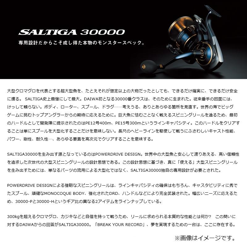 DAIWA（ダイワ） 25ソルティガ 30000-H / ジギング スピニング リール