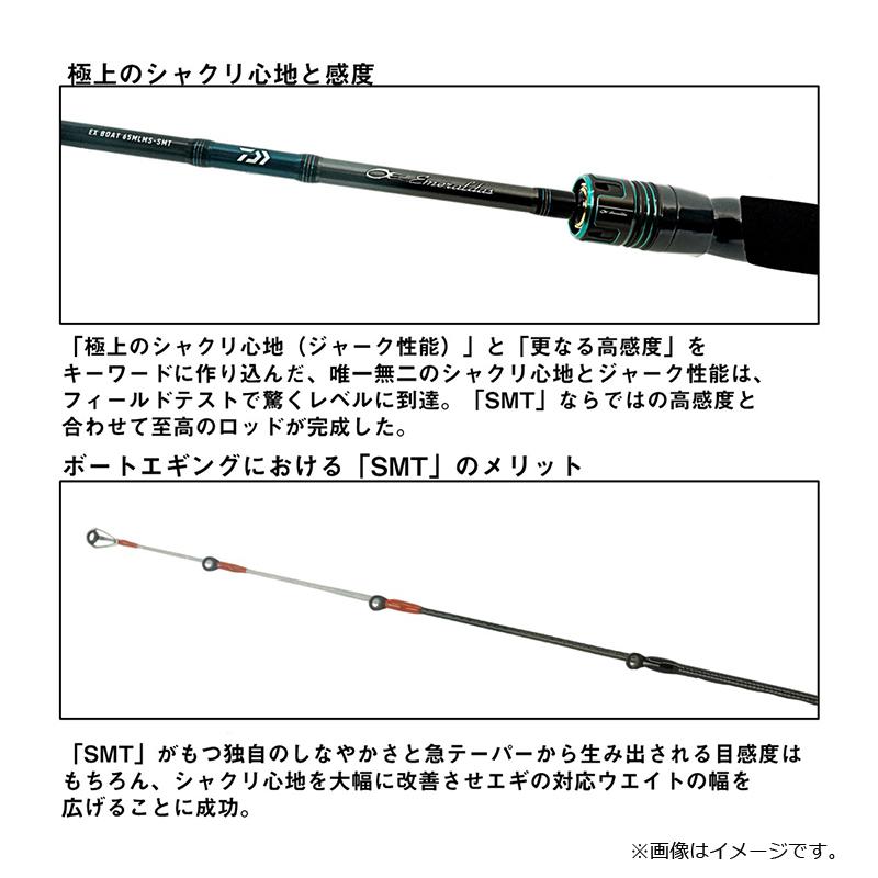 DAIWA（ダイワ） エメラルダス EX BOAT 511LS-SMT・W / ティップラン