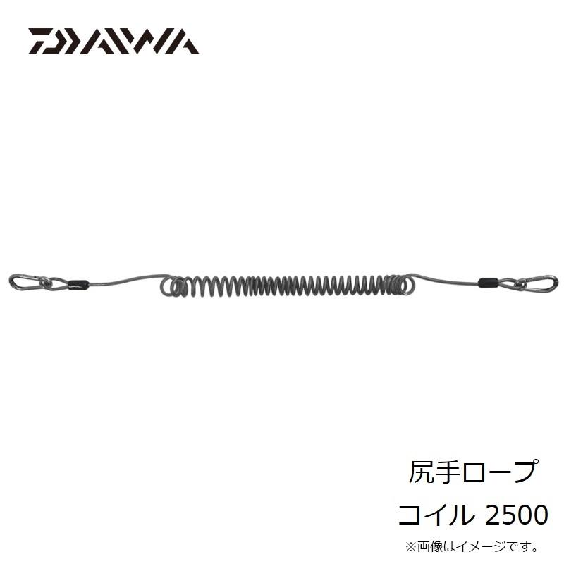 ダイワ ランディングネット シャフト、固定用アクセサリー、尻手コード付