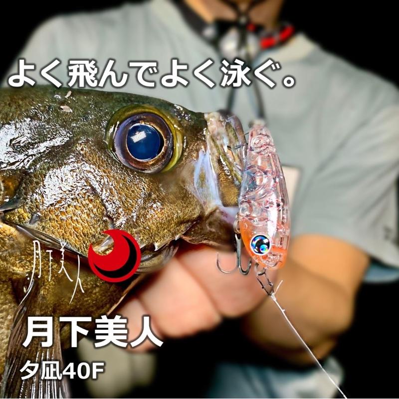 DAIWA（ダイワ） 月下美人 夕凪 40F誘 レッドグロー : 釣具のFTO