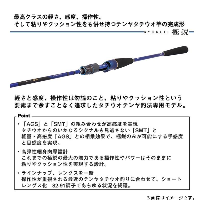 DAIWA（ダイワ） 極鋭テンヤタチウオ 82-177 : 釣具のFTO ヤフー店