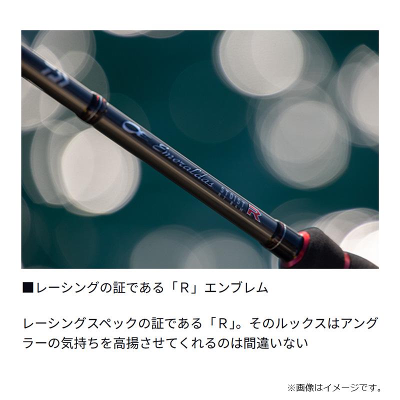 DAIWA（ダイワ） エメラルダス ストイスト RT IL 91M / インターライン