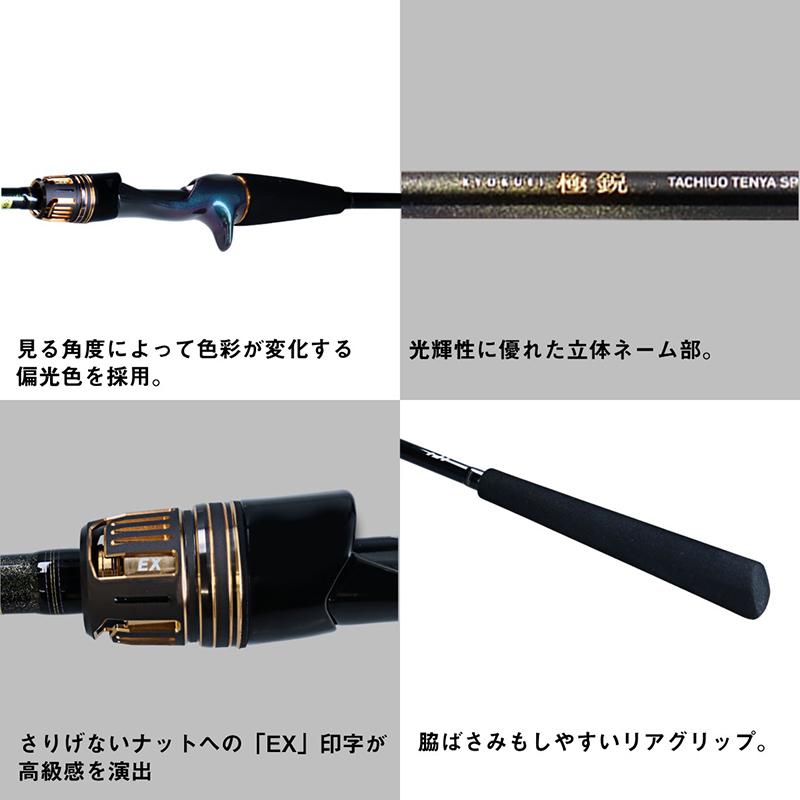 DAIWA（ダイワ） 極鋭タチウオテンヤSP EX 178 : 釣具のFTO ヤフー店