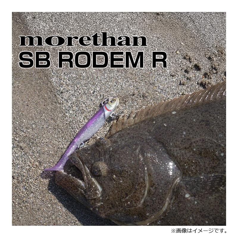 DAIWA（ダイワ） モアザン シーバスロデムRアッパー 14g SG生カタクチ