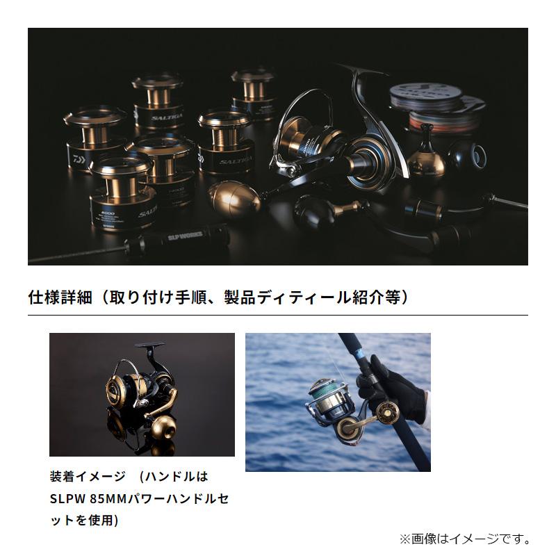 DAIWA（釣り） ダイワ 20ソルティガ スプール 14000SPL NB・GD : 釣具