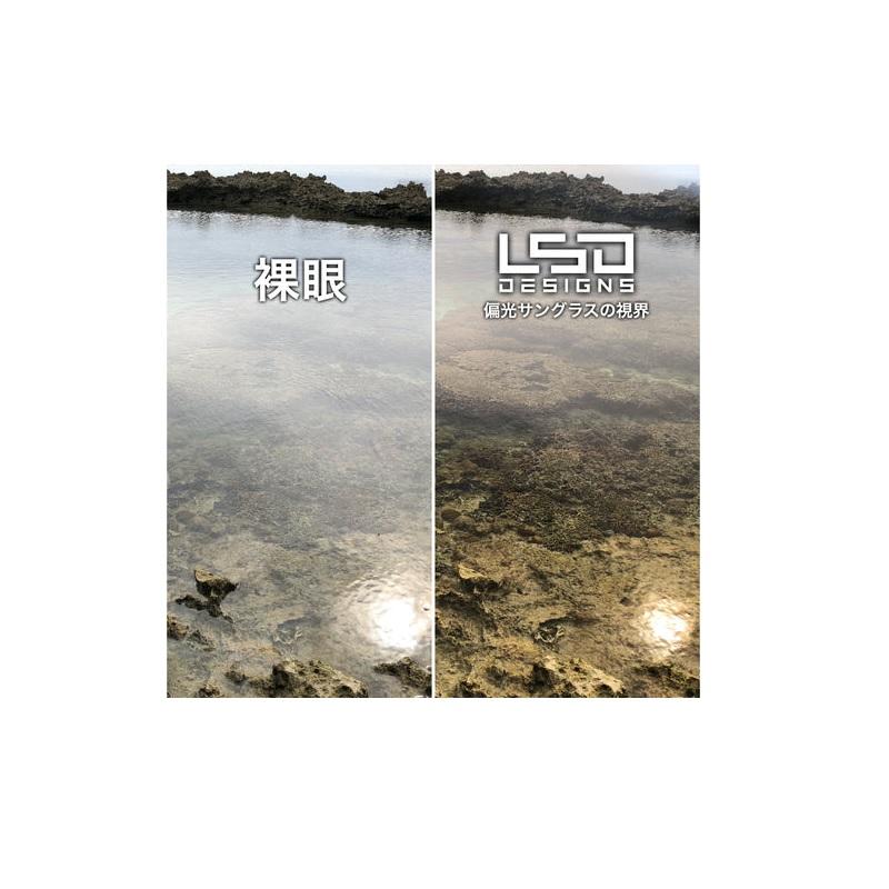 LSDデザイン ネオウィングエクストラエッジ マットブラック/グレー