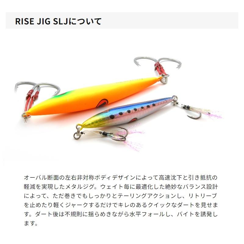 ライズジャパン ライズジグ SLJ 60g #RJ10 イカグロードット : 釣具の