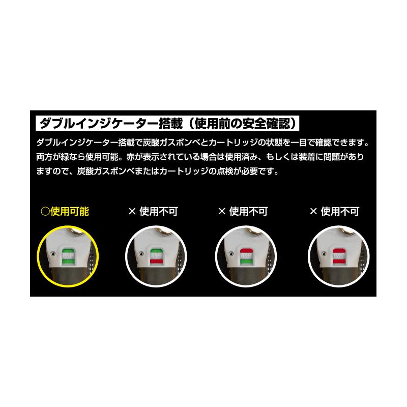 ガンクラフト GAN 5620RSE インフレータブルライフベルト #01 ブラック