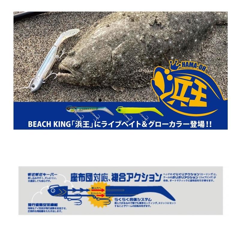 Major Craft（メジャークラフト） HMO-SET18 浜王セット 18g #008