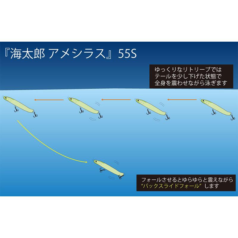 一誠 海太郎 アメシラス55 #013 ブライトピンク : 釣具のFTO ヤフー店