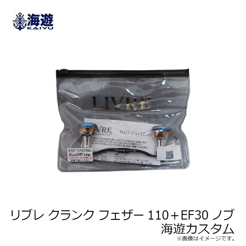 海遊 KAIYU LIVRE リブレ クランクフェザー110 シマノ 鯛ラバ 海遊