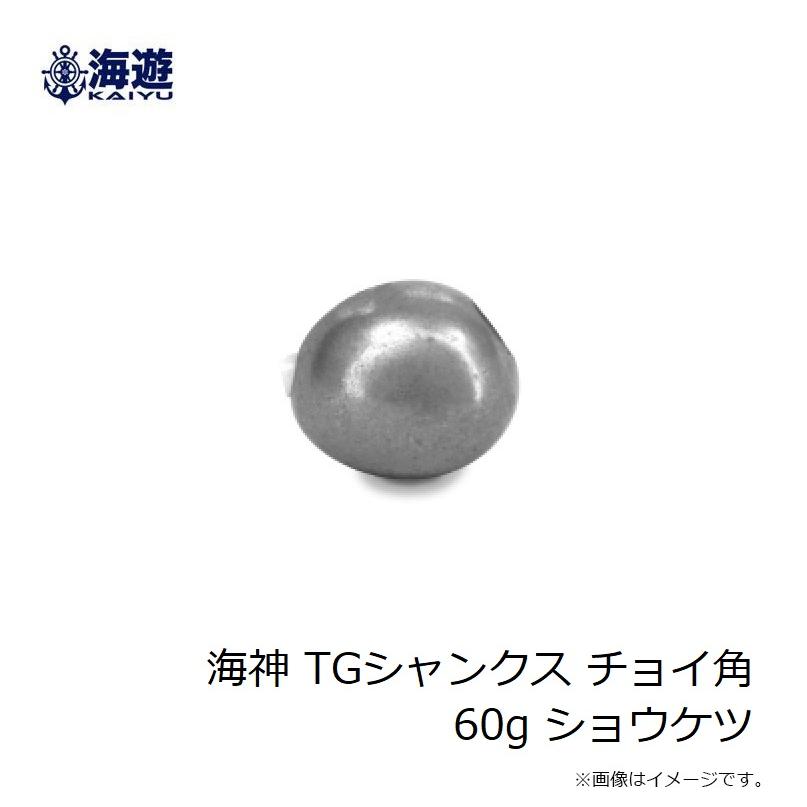 【新品未使用】激レア❗️海遊❗️TGシャンクス チョイ角✨60g 80g✨2個セット 海遊 海神 TGシャンクス チョイ角 60g ショウケツ : 釣具のFTO ヤフー
