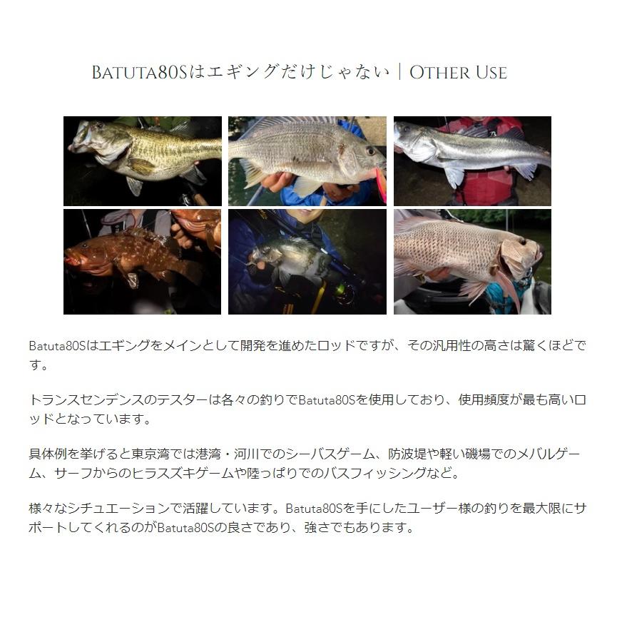 トランスセンデンス BATUTA80S バトゥータ80S : 釣具のFTO ヤフー店