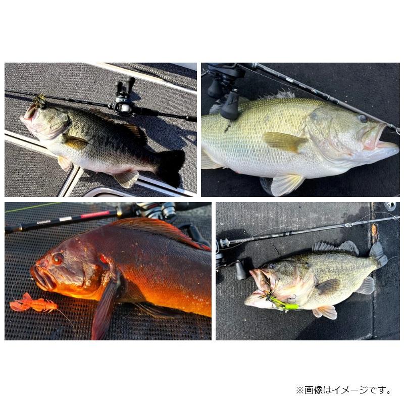 トランスセンデンス Ocellate59B＋ : 釣具のFTO ヤフー店 - 通販