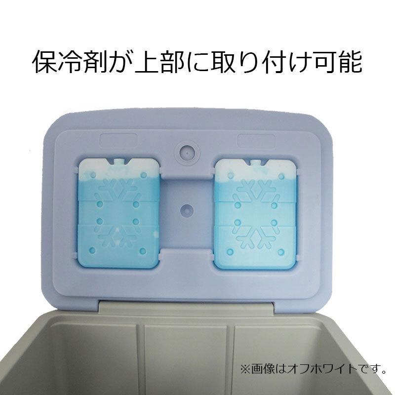 エクセル BB-816 アイスマスターFUN 保冷剤2個付20L アイスブルー