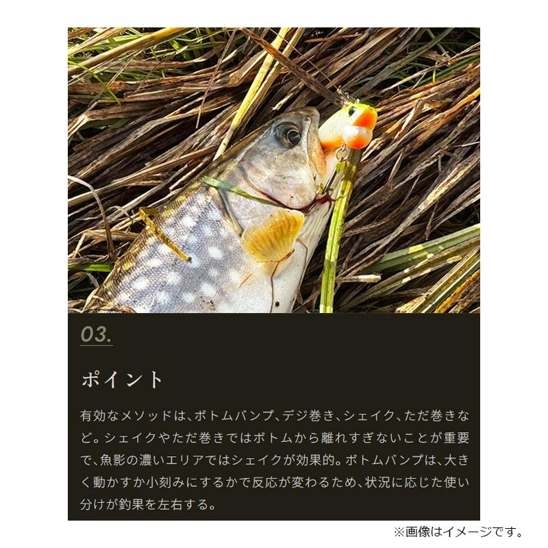 ヴァルケイン シャインライド70 C233 アカキン : 釣具のFTO ヤフー店