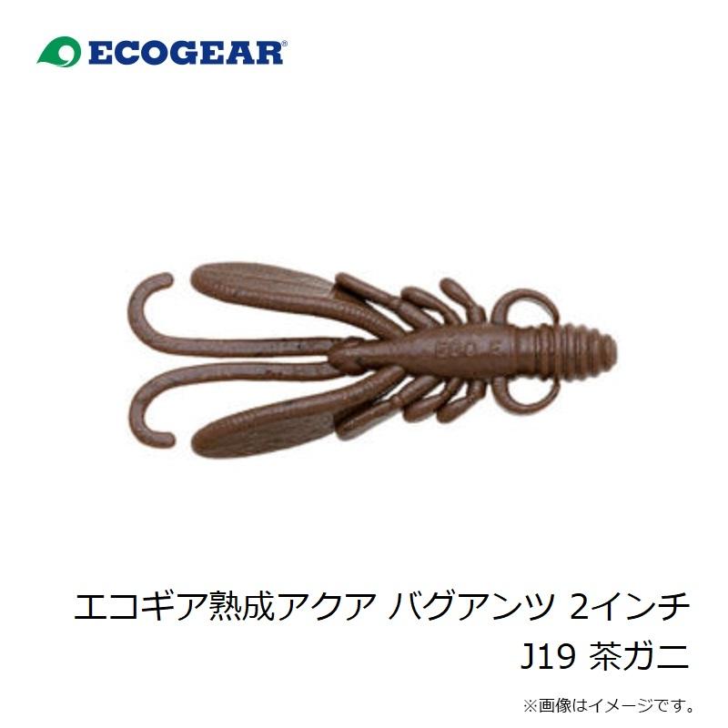 エコギア エコギア熟成アクア バグアンツ 2インチ J19 茶ガニ : 釣具の