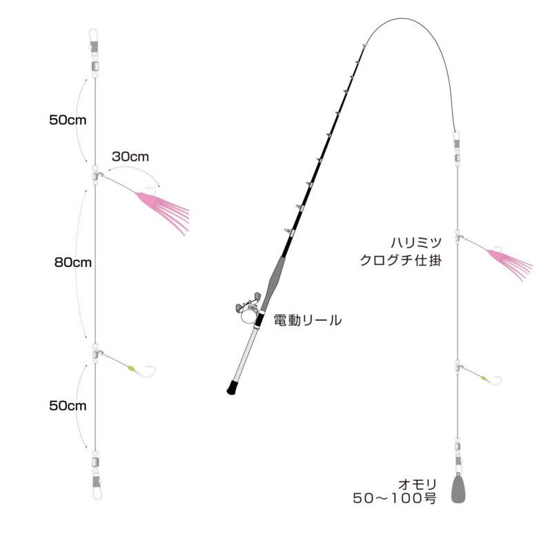 ハリミツ C-117 クログチ仕掛 2本 17-5-7 : 釣具のFTO ヤフー店 - 通販  
