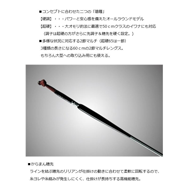 DAIWA（ダイワ） エキスパート 碧羅 中継 硬調80M 硬調80M : 釣具の