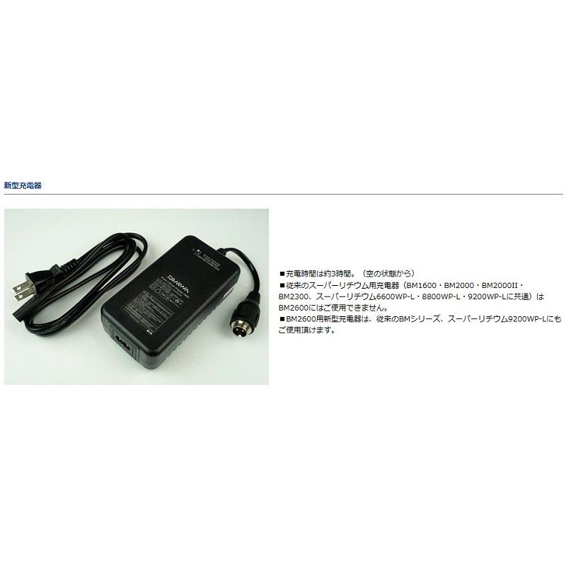DAIWA(釣り) ダイワ スーパーリチウムBM2600 メタリック DAIWA(釣り) ダイワ スーパーリチウムBM2600 メタリック