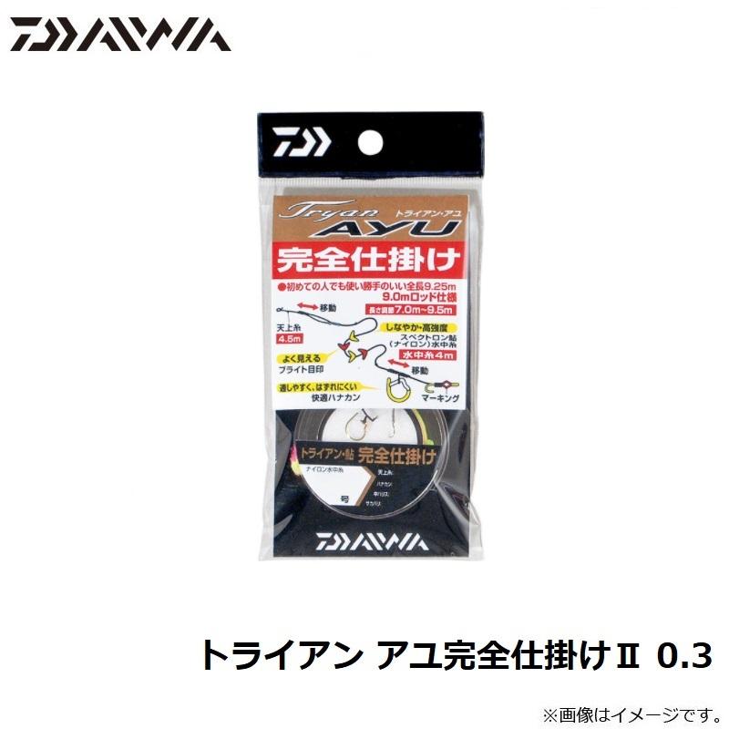 DAIWA（ダイワ） トライアン アユ完全仕掛け2 0.3 0.3 : 釣具のFTO