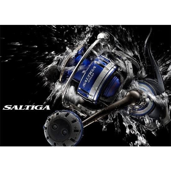 DAIWA(釣り) ダイワ(DAIWA) 15ソルティガ 4000H (スピニング DAIWA(釣り) ダイワ(DAIWA) 15ソルティガ 4000H (スピニング